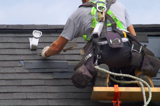 Best Roof Gutter Cleaning  in Shadyside, OH