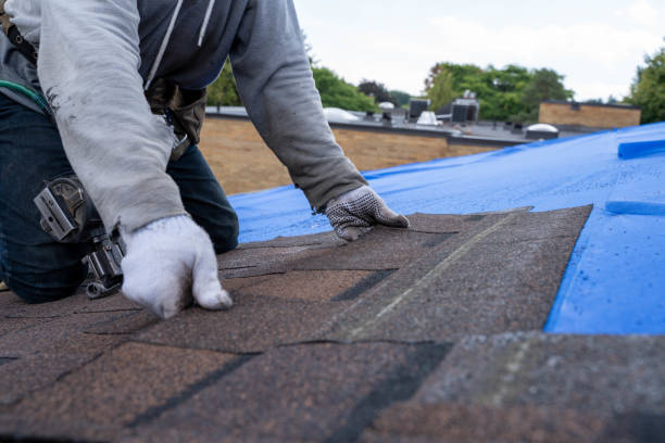Best Local Roofing Companies  in Shadyside, OH