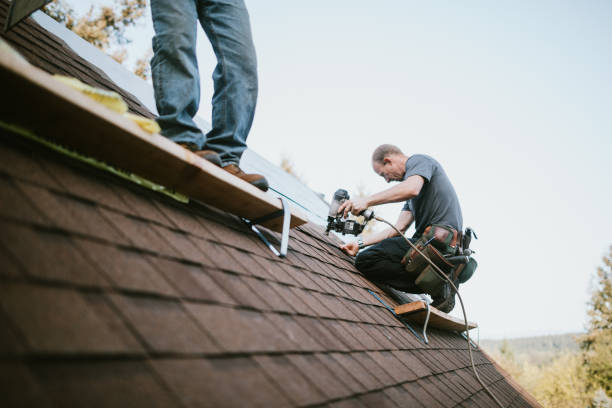Best Roof Restoration Services  in Shadyside, OH
